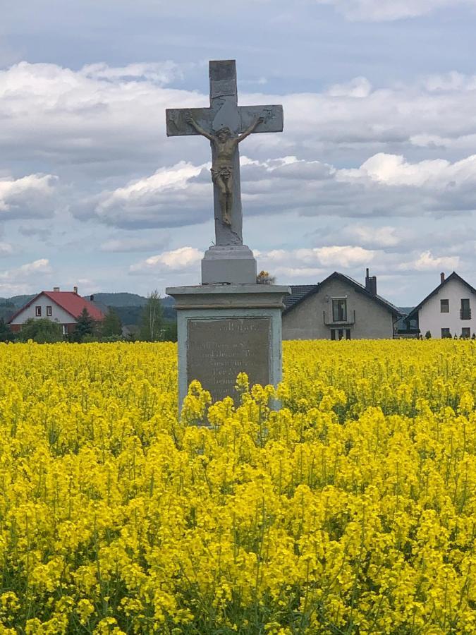 Dom na wzgórzu Vila Polanica-Zdrój Exterior foto