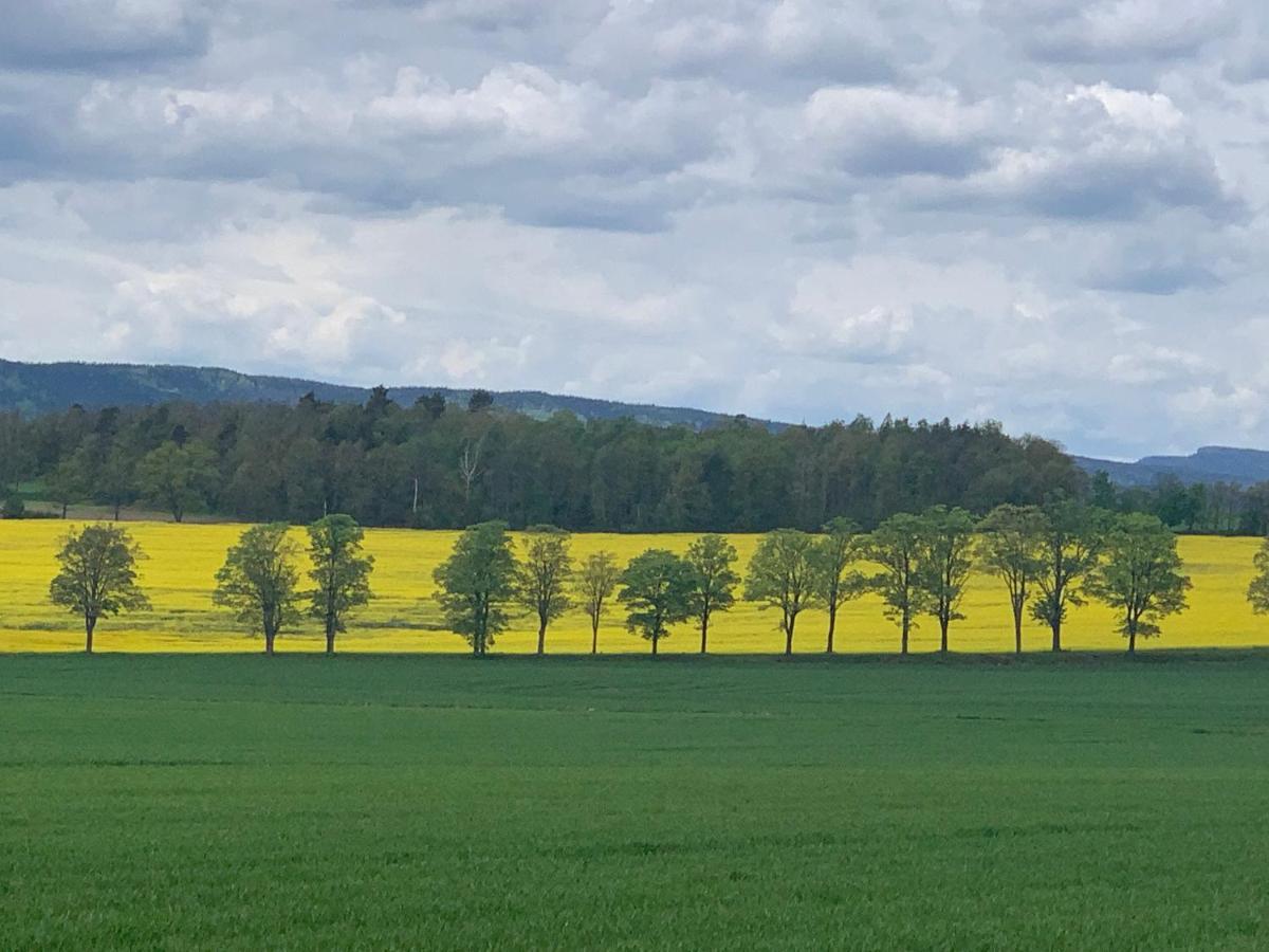 Dom na wzgórzu Vila Polanica-Zdrój Exterior foto