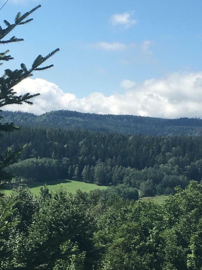 Dom na wzgórzu Vila Polanica-Zdrój Exterior foto
