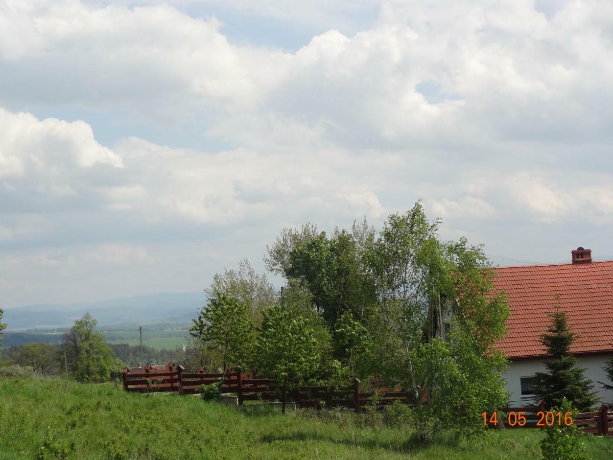 Dom na wzgórzu Vila Polanica-Zdrój Exterior foto